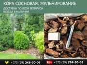 Мульча из сосновой коры в Беларуси
